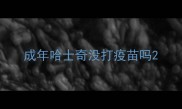 成年哈士奇没打疫苗吗