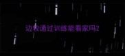 边牧通过训练能看家吗