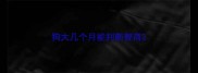 狗大几个月能判断智商