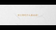 哈士奇吃什么最合适