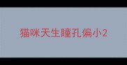 猫咪天生瞳孔偏小