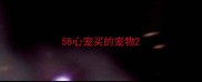 58心宠买的宠物