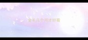 金毛几个月才好看