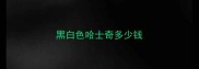 黑白色哈士奇多少钱
