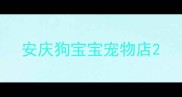 安庆狗宝宝宠物店