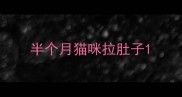 半个月猫咪拉肚子