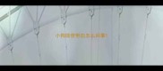小狗排便带血怎么回事