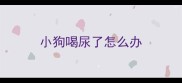 小狗喝尿了怎么办