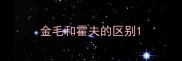 金毛和霍夫的区别