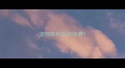 宠物眼科医院收费