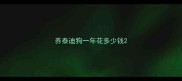 养泰迪狗一年花多少钱