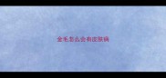 金毛怎么会有皮肤病