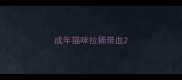 成年猫咪拉稀带血