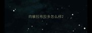 肉嘴拉布拉多怎么样