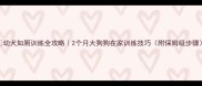 幼犬如厕训练全攻略2个月大狗狗在家训练技巧附保姆级步骤