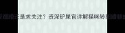 转圈蹭腿是爱蹭蹭还是求关注资深铲屎官详解猫咪转圈蹭腿的7种隐藏含义