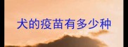 犬的疫苗有多少种