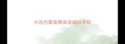 大连巴黎宠物美容培训学校