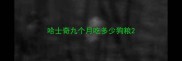 哈士奇九个月吃多少狗粮
