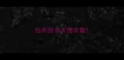 拉布拉多大便次数