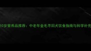 边牧10岁营养品推荐中老年金毛寻回犬饮食指南与科学补充方案