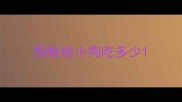 狗粮给小狗吃多少