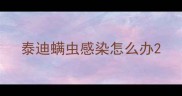 泰迪螨虫感染怎么办