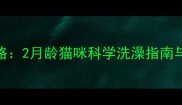幼猫洗澡全攻略2月龄猫咪科学洗澡指南与健康养护要点