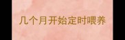 几个月开始定时喂养