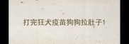 打完狂犬疫苗狗狗拉肚子