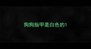 狗狗指甲是白色的