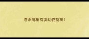 洛阳哪里有卖动物疫苗