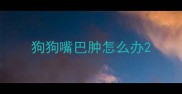 狗狗嘴巴肿怎么办