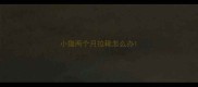 小猫两个月拉稀怎么办