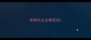 宠物托运去哪里取