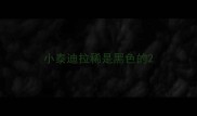 小泰迪拉稀是黑色的