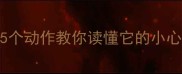 哈士奇行为大5个动作教你读懂它的小心思附训练指南