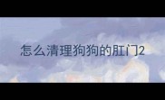 怎么清理狗狗的肛门