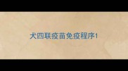 犬四联疫苗免疫程序