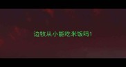边牧从小能吃米饭吗