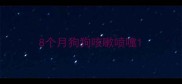 8个月狗狗咳嗽喷嚏