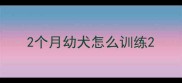 2个月幼犬怎么训练