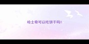 哈士奇可以吃饼干吗