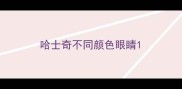 哈士奇不同颜色眼睛