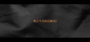 两三个月的比熊犬