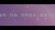 哈士奇vs小鹿犬养狗指南性格饲养成本健康问题全哪种更适合你