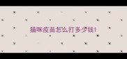 猫咪疫苗怎么打多少钱