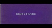狗狗被骨头卡住的表现
