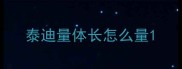 泰迪量体长怎么量