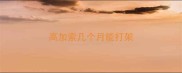 高加索几个月能打架